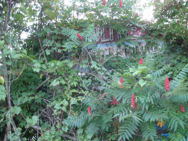 Moonlite Drive-In - 2014 Photo (newer photo)